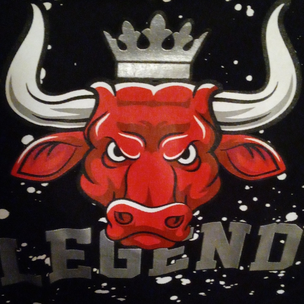 (NEW) Chicago Bulls legend t-shirt